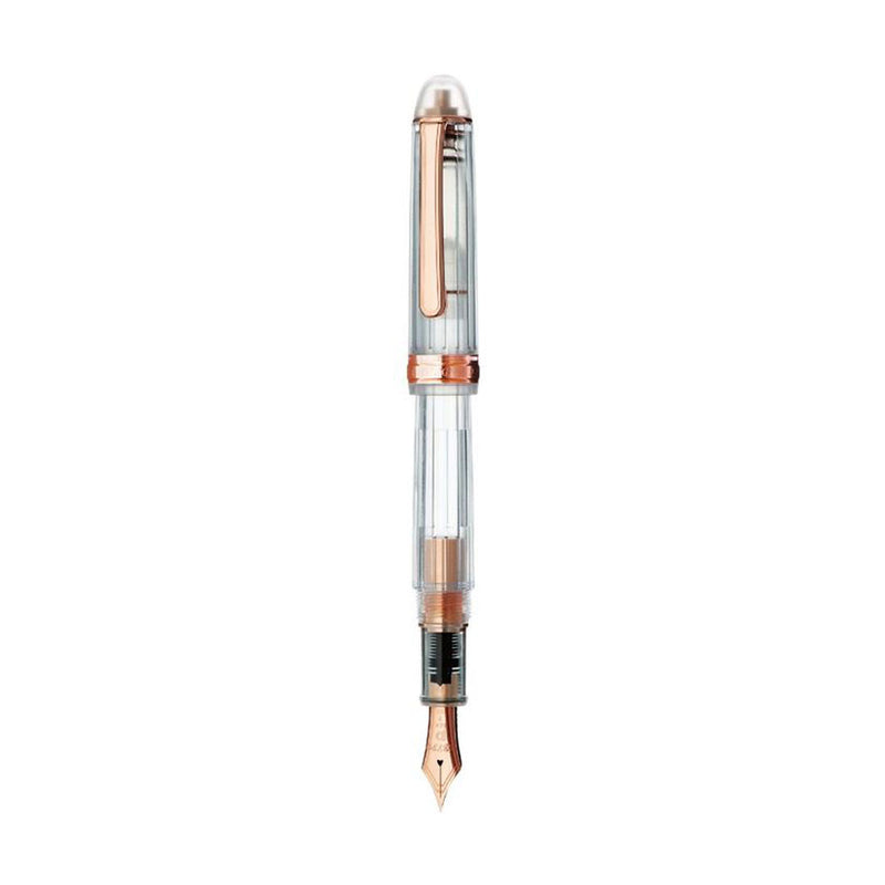 Platinum Fountain Pen - Century Nice - 14 Karat Rose Gold
