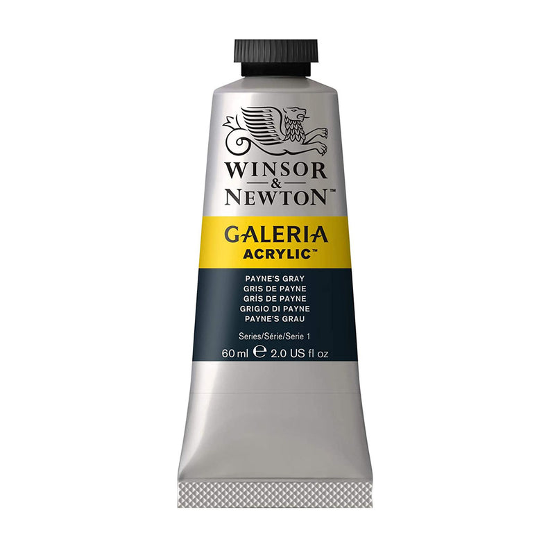 Winsor & Newton Galeria Acrylic Color 60Ml Paynes Gray