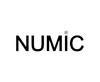 Numic